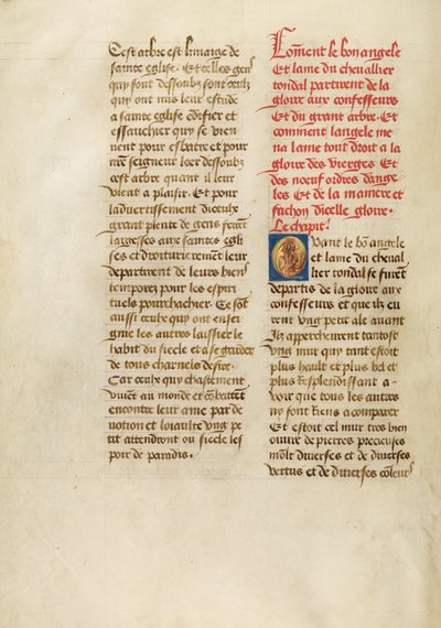 Pagina di testo da Unbekannt Unbekannt
